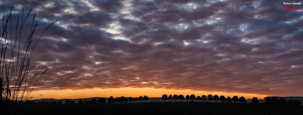 morning-panorama