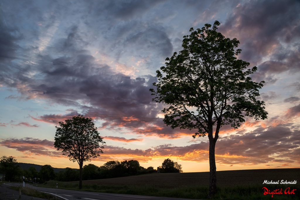 sunset-trees