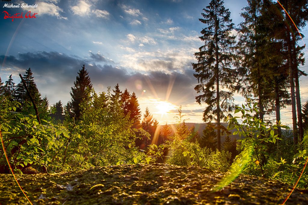 sonnenblick